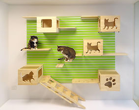 Catswall Design Cat Climbing Wall in Green