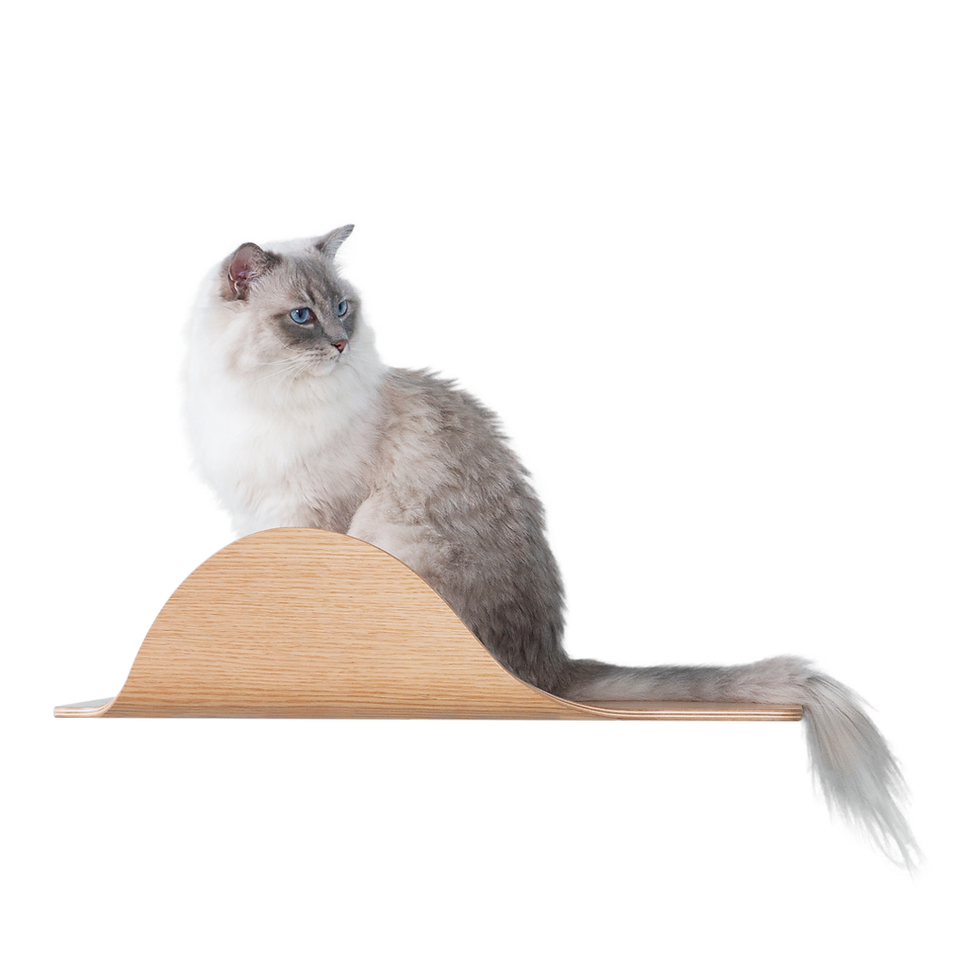 Thumbnail: MyZoo Stingray Wall Mounted Cat Perch / Shelf