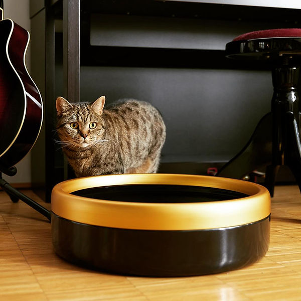 Katchit Enamelled Steel Cat Litter Trays | Kittyglitz | UK