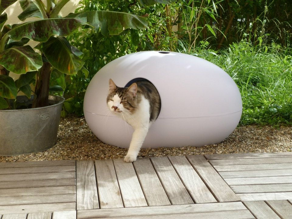 Cat stepping out of Poopoopeedo litter box