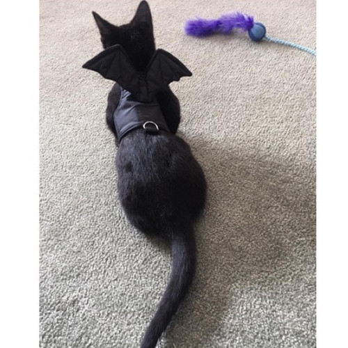 cat harness with wings