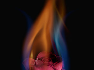 Soul of Fire