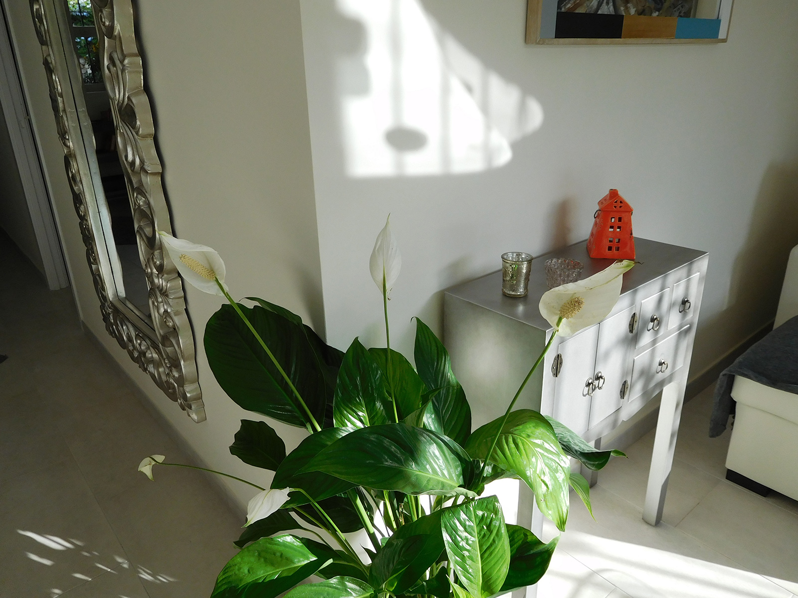 Would you mind watering the plants?