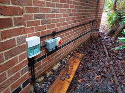 IMG_20210128_151951_7