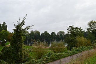 DSC_5060.JPG
