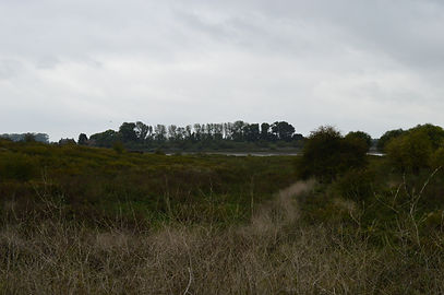 DSC_5432.JPG
