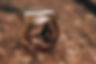 LUNA-7.jpg