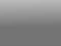Rectangle 39483.png