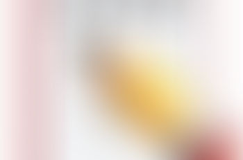 Programme annuel 2026