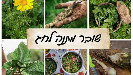 מיוחד לחג: שובר זוגי/יחיד במתנה - להשתתפות באחד הסיורים הפתוחים