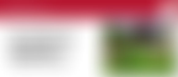 Winning team! School playgroud in Mestre