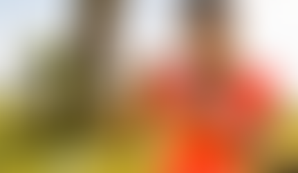 Energia para viver o que importa: o que sustenta a disposição no dia a dia