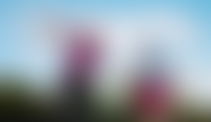 Creatina: Mais Força e Energia para Seu Dia a Dia