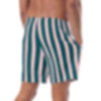Thumbnail: Recycled Striped Swim Trunks