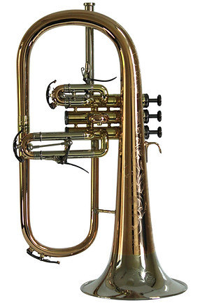 Flugel.jpg