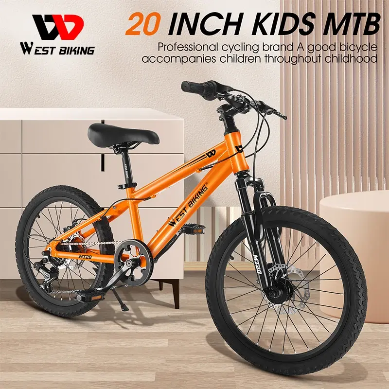 Aluminum Alloy 20 Inch Colorful Kid Mountain