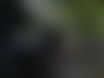 Wix Blog Post - GW Test