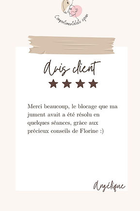 avis client angélique .jpg