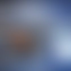 Stainless Vibrating Feeders in Production – Precision, Hygiene and Performance Combined