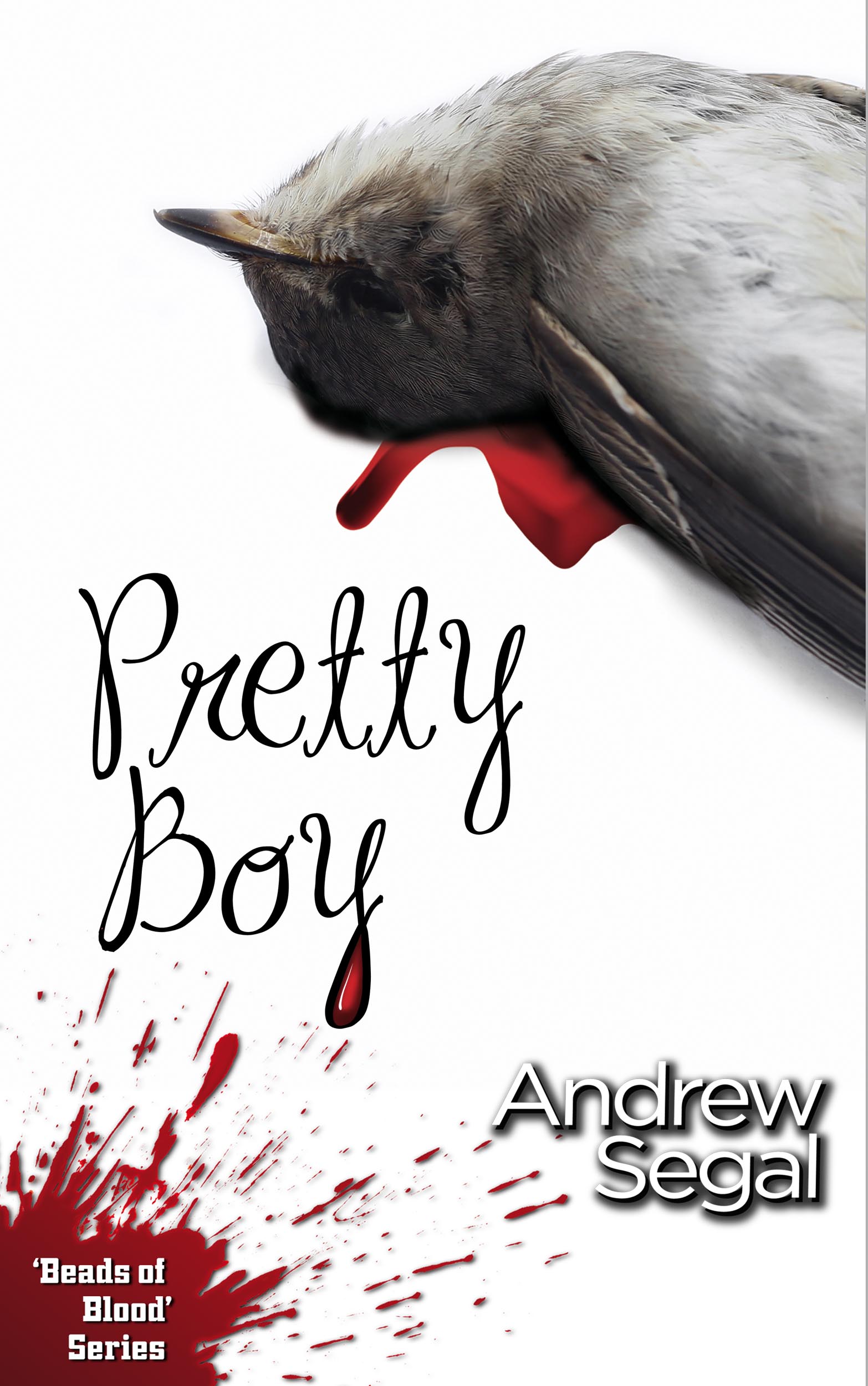 Pretty-Boy-Short STories