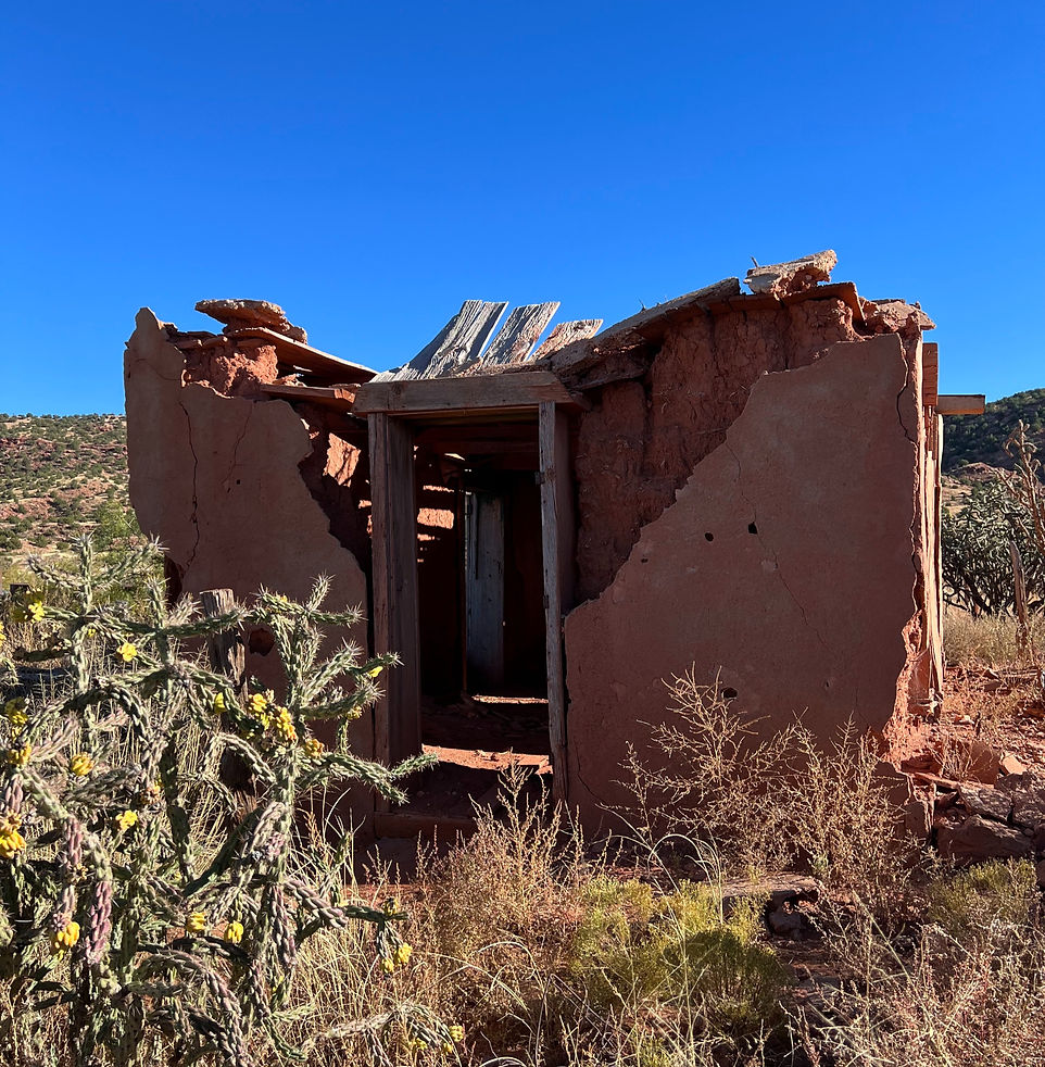 Cuervo, New Mexico