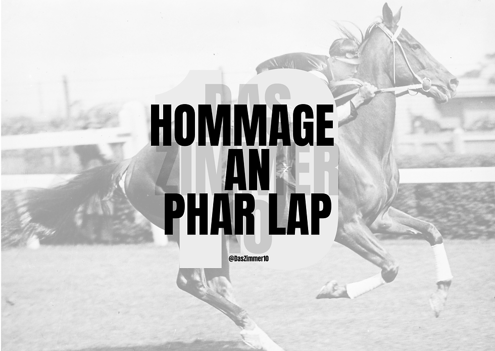 Abschlussphase HS25 - Tod durch Erschöpfung