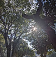 PXL_20220104_021319234.MP.jpg