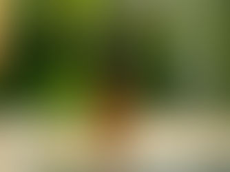 Flacone in vetro ambrato con pipetta accanto a una foglia di canapa su un tavolo chiaro, con sfondo naturale verde — simbolo della terapia CBD in un contesto olistico.