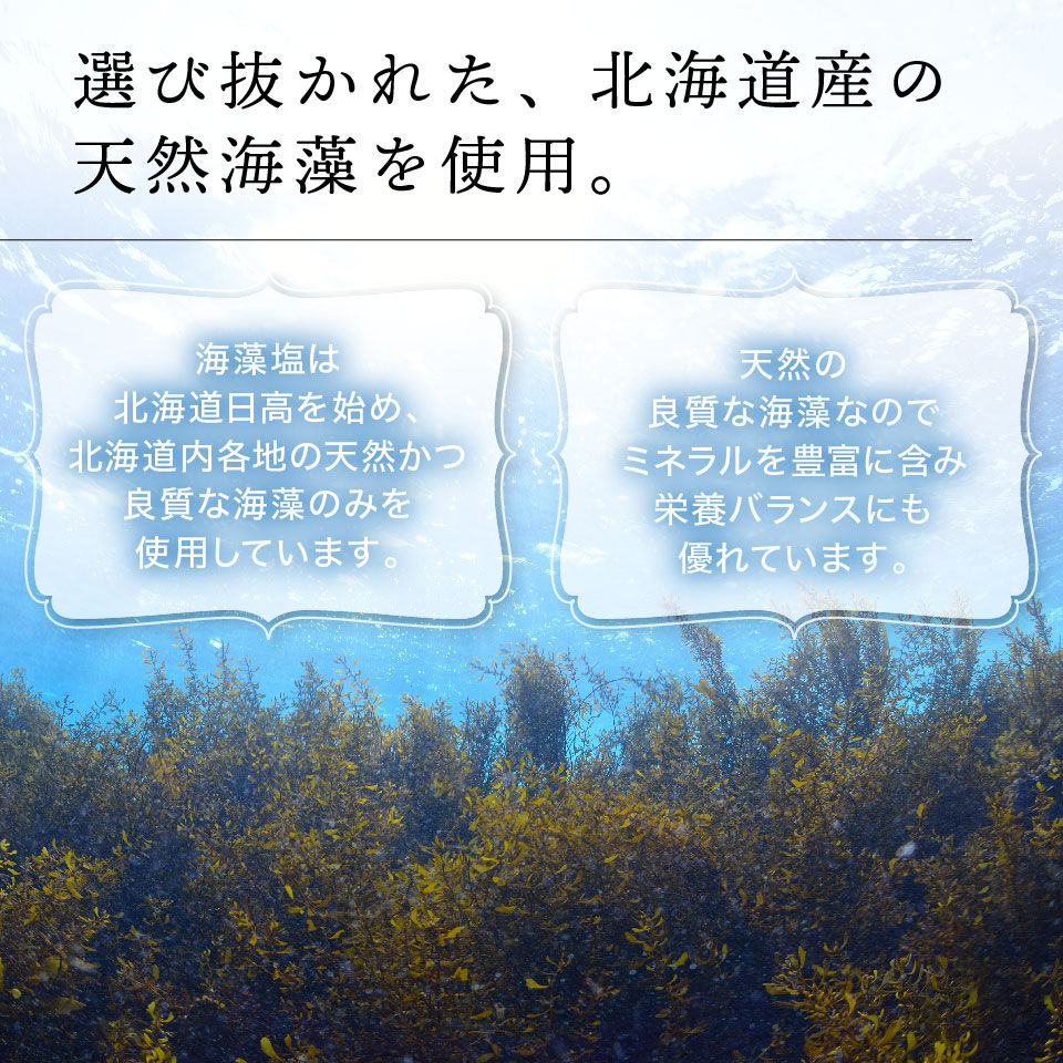 サムネイル： 海藻塩のLP