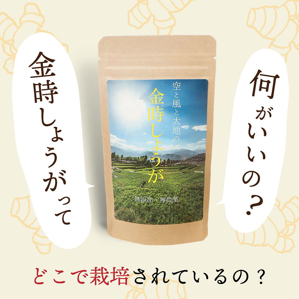 サムネイル： 【1000円ポッキリ】蒸し金時しょうが粉末 のLP