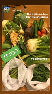סל ירקות אורגני