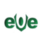 eve foundation.jpeg