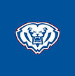 Hamilton Southeastern Football