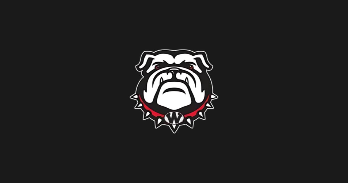 The Athletic Academy (8).png