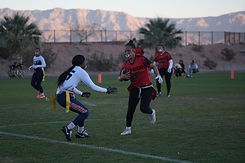 DSC07951 (1).jpg