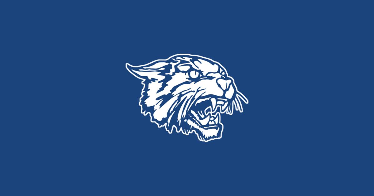 The Athletic Academy (8).png