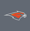 Skyridge High School Football