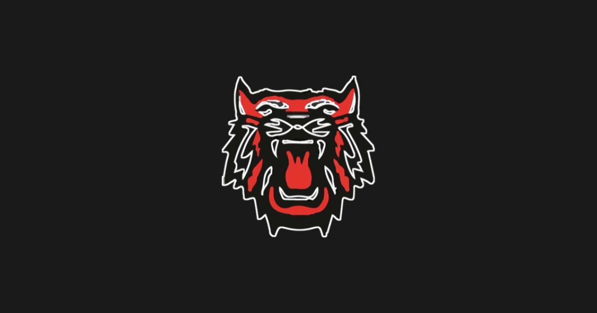The Athletic Academy (8).png