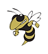 Calhoun High School Football logo