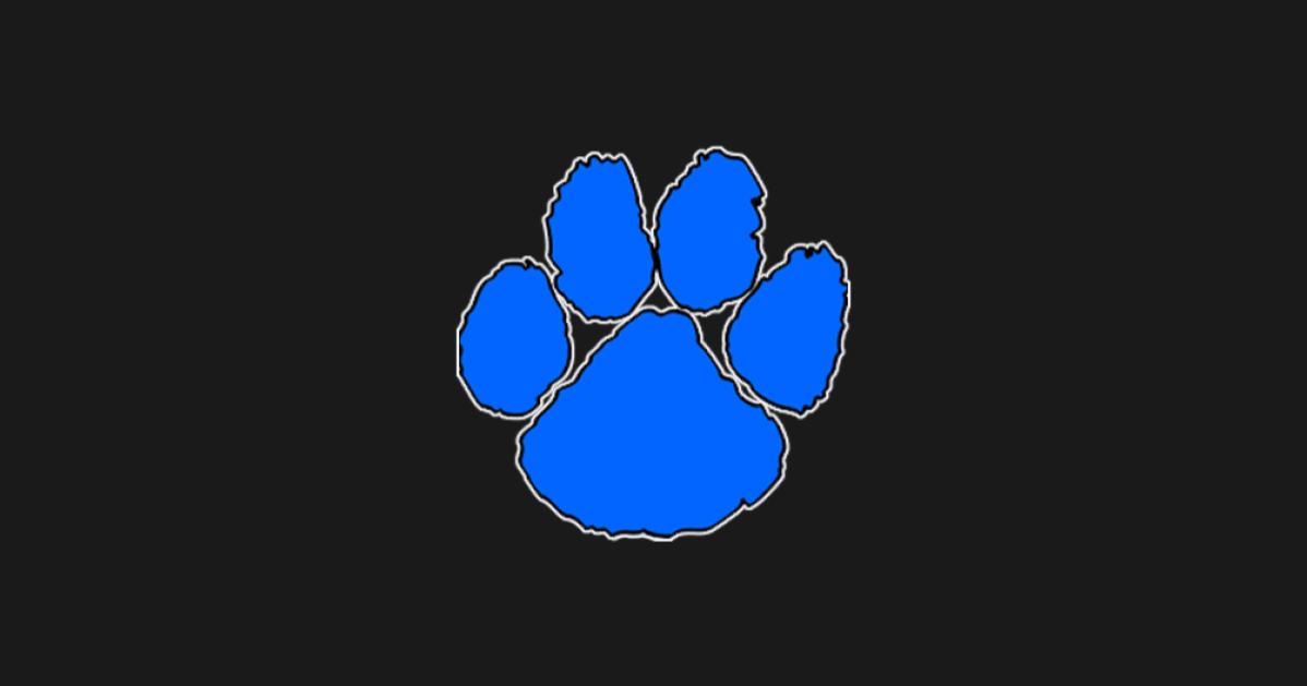 The Athletic Academy (8).png