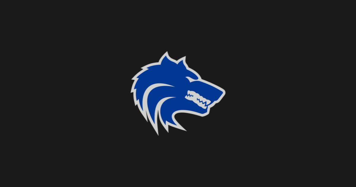 The Athletic Academy
