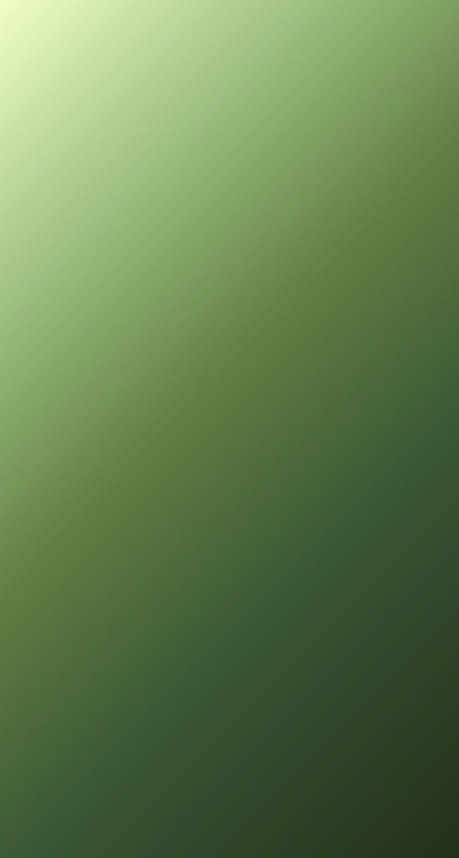 Website BG_edited.jpg