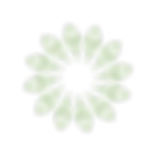 carun flower