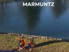 Nos D-marcheurs ont du talent !