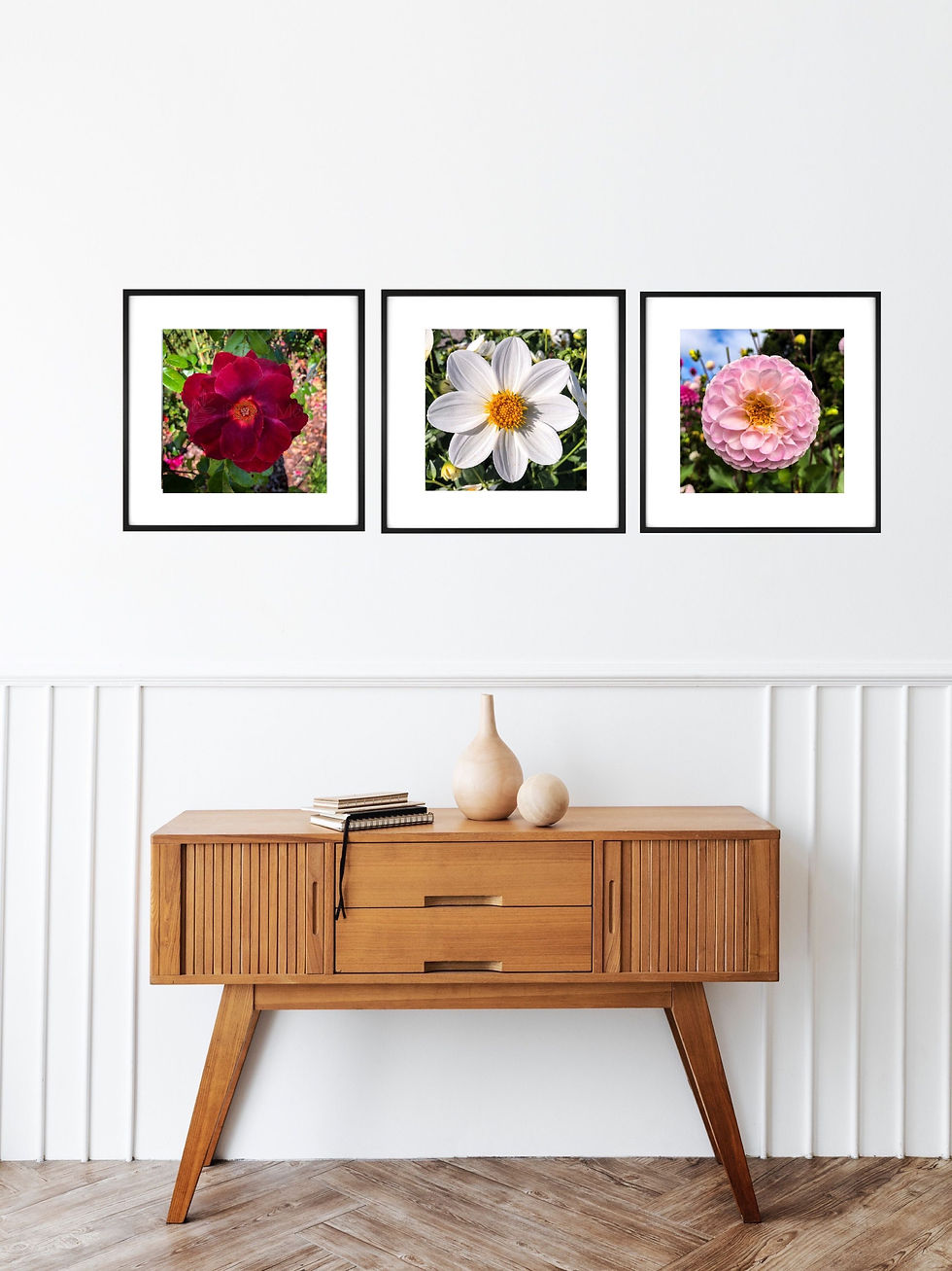 Thumbnail: White Single Stem