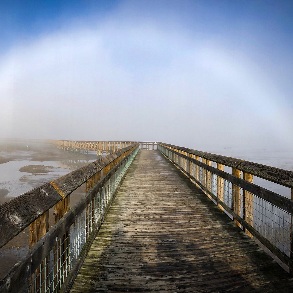 Thumbnail: Fog