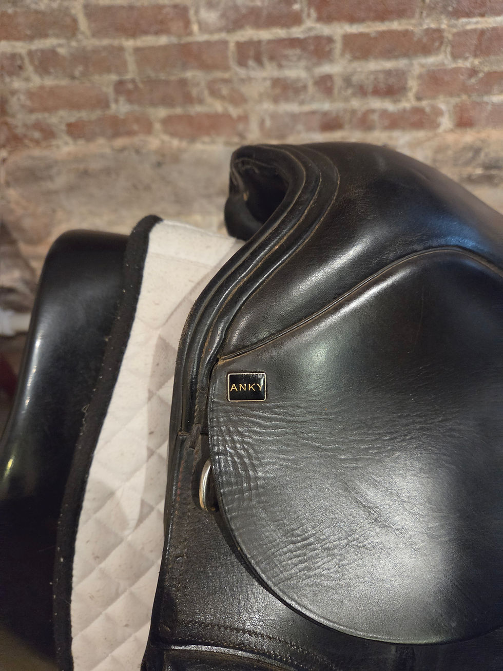 Thumbnail: Anky Dressage, 18", MW