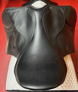 Thumbnail: Arena GP, 18", Interchangable