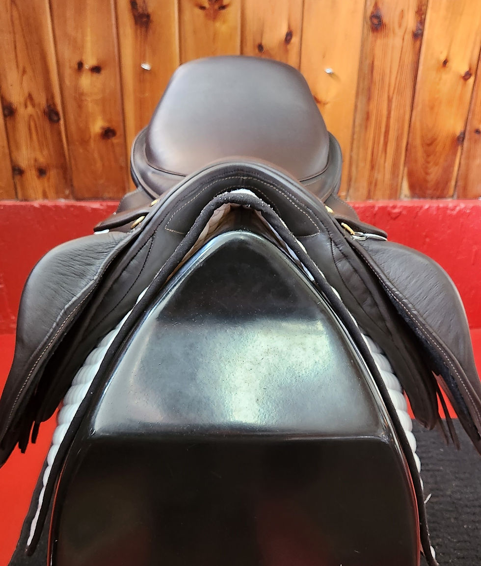 Thumbnail: SOLD Chunky Monkey Freedom Jump, 17", Wide Hoop