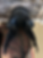Thumbnail: Sommer Flextra Eq Dressage, 17.5". Medium